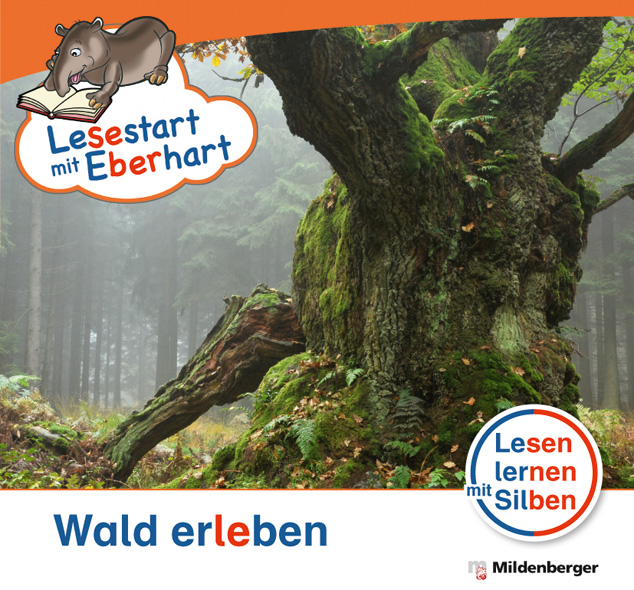 Cover / Produktfoto