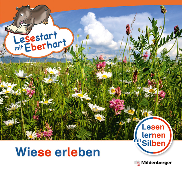 Cover / Produktfoto