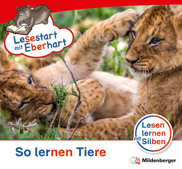 Cover / Produktfoto