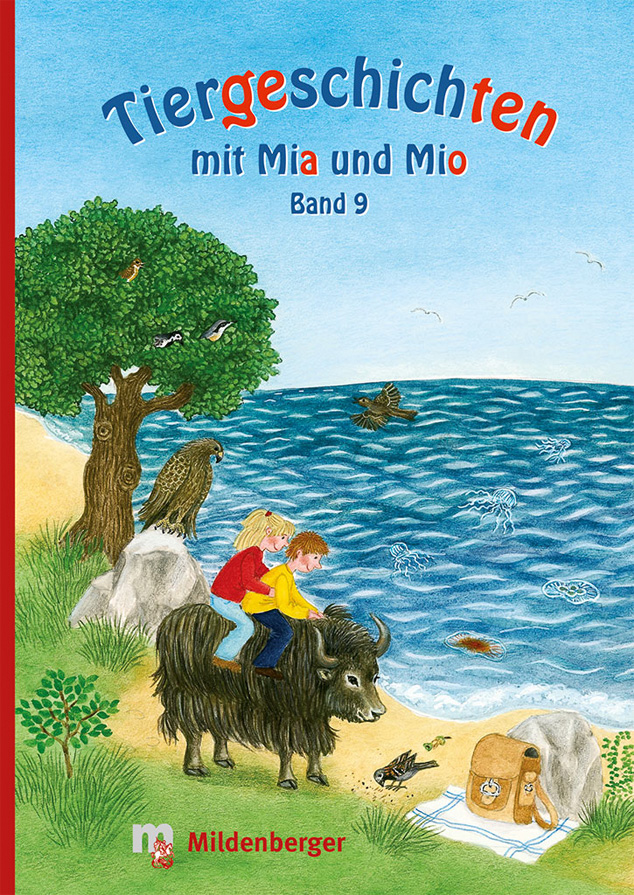 Cover / Produktfoto