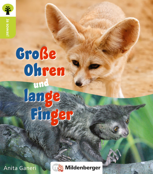 Cover / Produktfoto