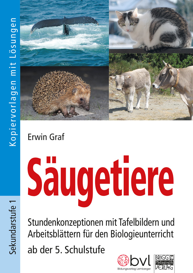 Cover / Produktfoto