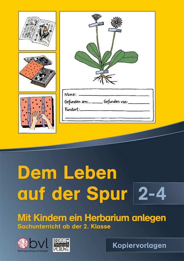 Cover / Produktfoto
