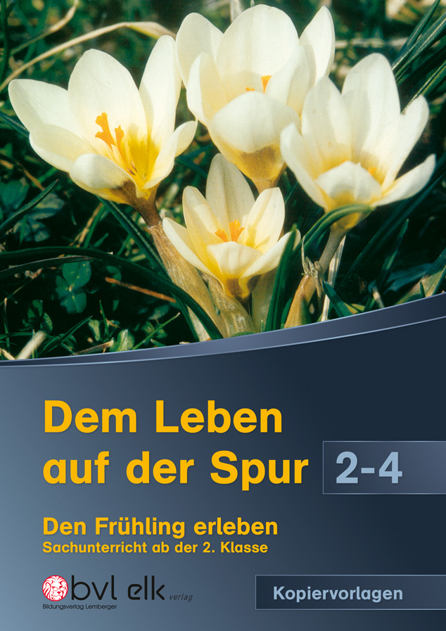Cover / Produktfoto