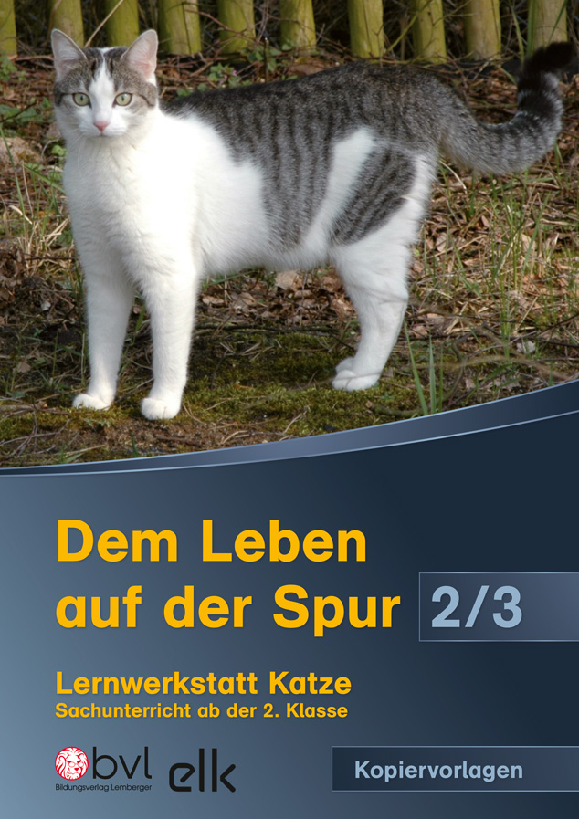 Cover / Produktfoto