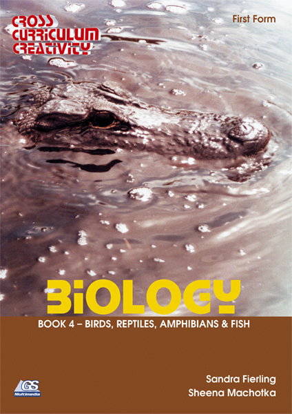 Cover / Produktfoto
