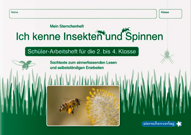 Cover / Produktfoto