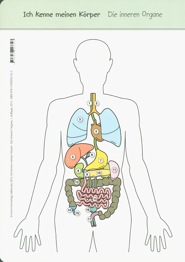 Cover / Produktfoto