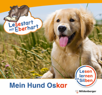 Cover / Produktfoto