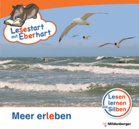 Cover / Produktfoto