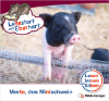 Cover / Produktfoto