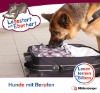 Cover / Produktfoto