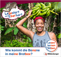 Cover / Produktfoto