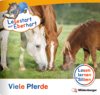 Cover / Produktfoto
