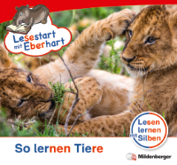 Cover / Produktfoto