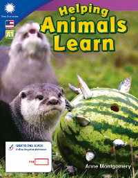Cover / Produktfoto