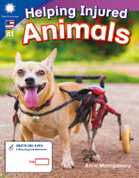 Cover / Produktfoto