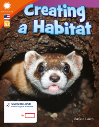 Cover / Produktfoto