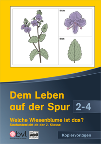 Cover / Produktfoto