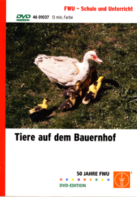 Cover / Produktfoto