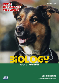 Cover / Produktfoto
