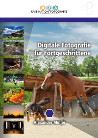 Cover / Produktfoto